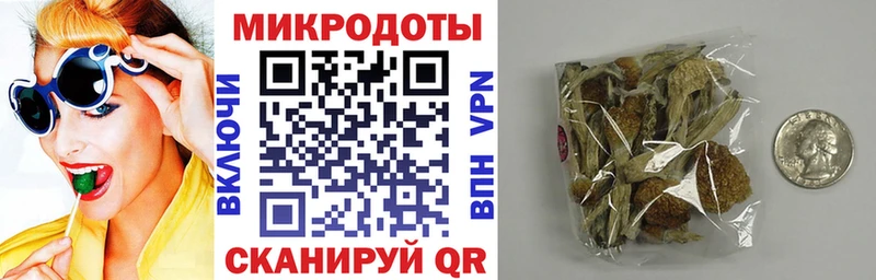 Псилоцибиновые грибы мицелий Сасово